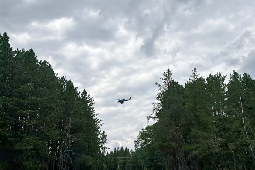 A helicopter that is used for fighting wildfires hovering in flight above trees.