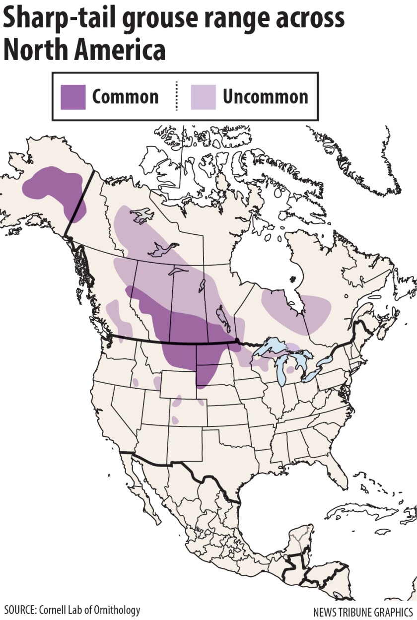 grouse range North America.jpg