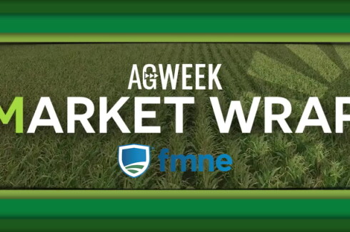 Grain markets finish with 'good gains' in a short week of trading