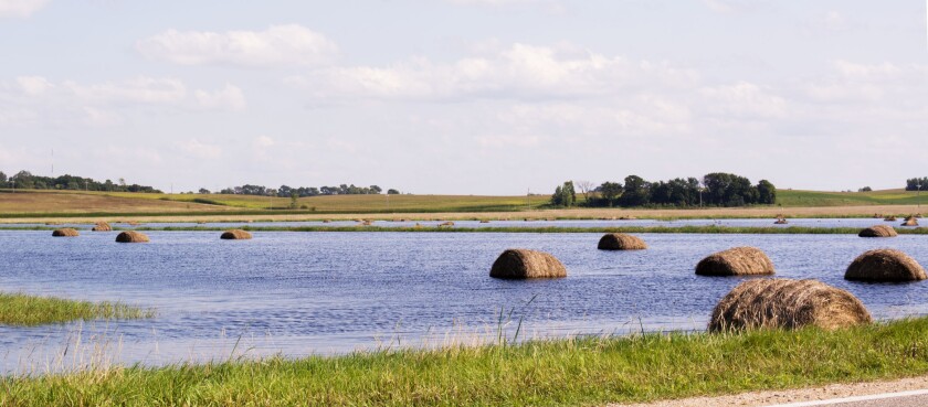 Hay bales standing in water in a Minnesota field