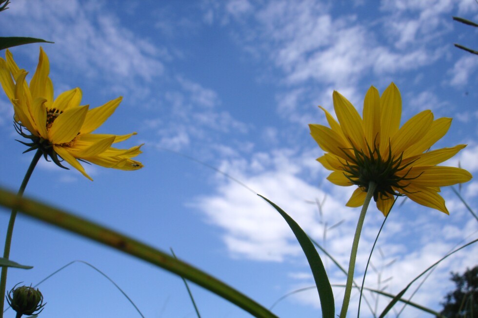 The Jamestown Sun Jamestown, North Dakota