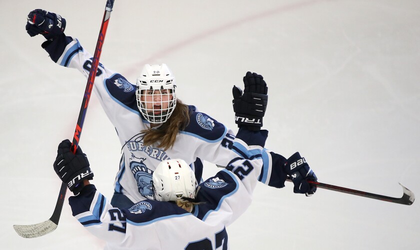 Hockey players celebrate a goal.