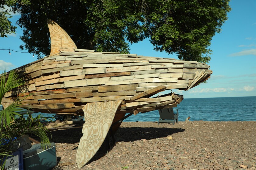 Large wooden shark sculpture is seen on a rocky beach at a lakeside.