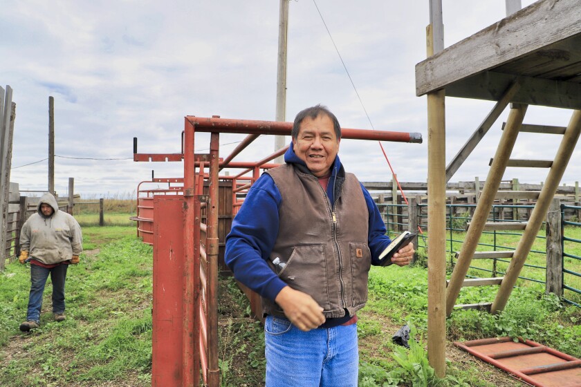 Standing Rock rancher runs nation’s largest native-owned buffalo herd