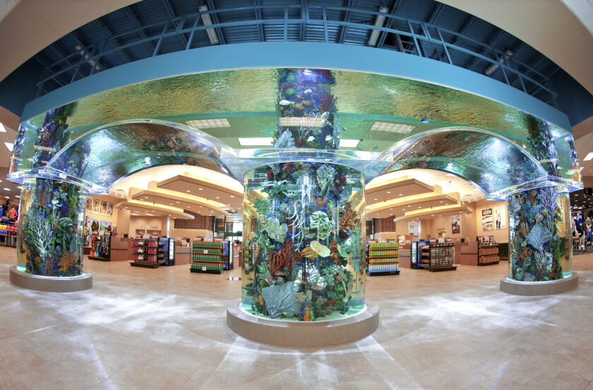 Scheels Ep Scheels set to open first store in Arizona - InForum | Fargo, Moorhead ...
