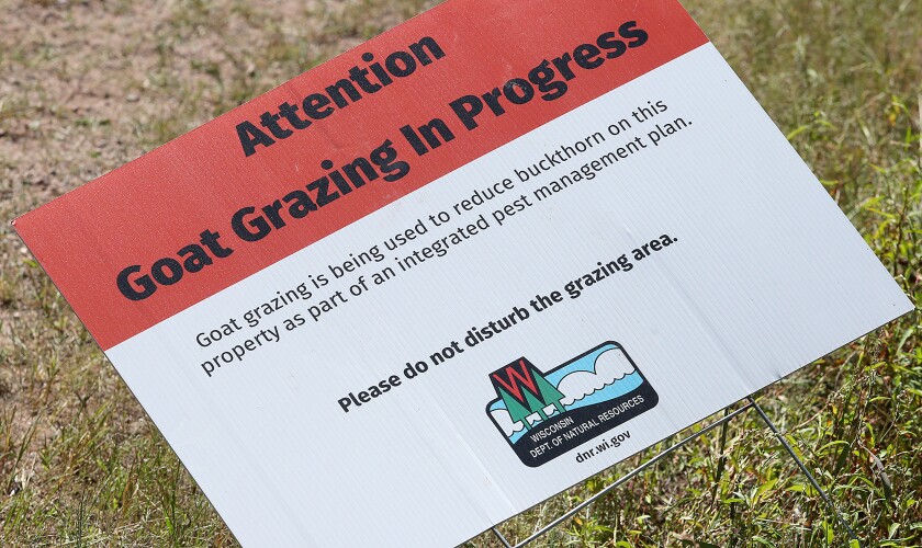 A sign warns visitors of goat grazing