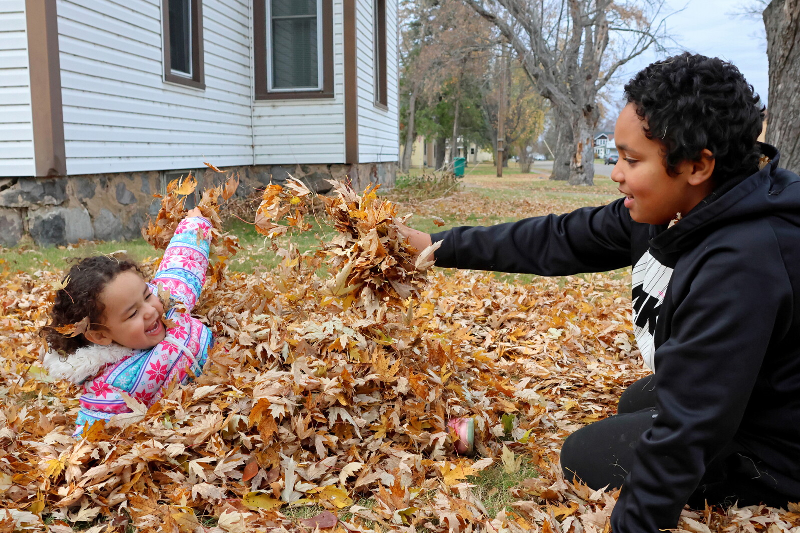 Lots of leafy fun