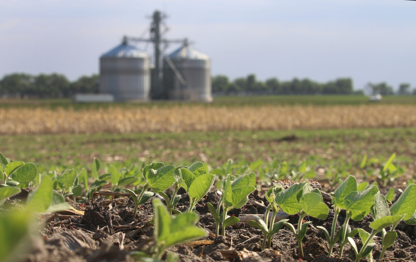 Farmers’ mental health needs focus of Minnesota program – InForum Farmers’ mental health needs focus of Minnesota program – InForum