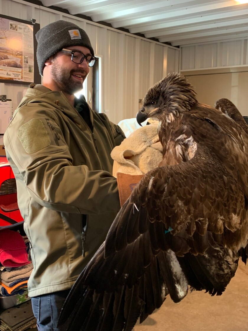 Eagle recovery Casey Jones.jpg
