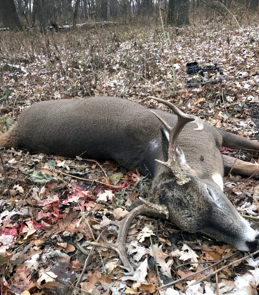 Buck_NorthDakota.jpg