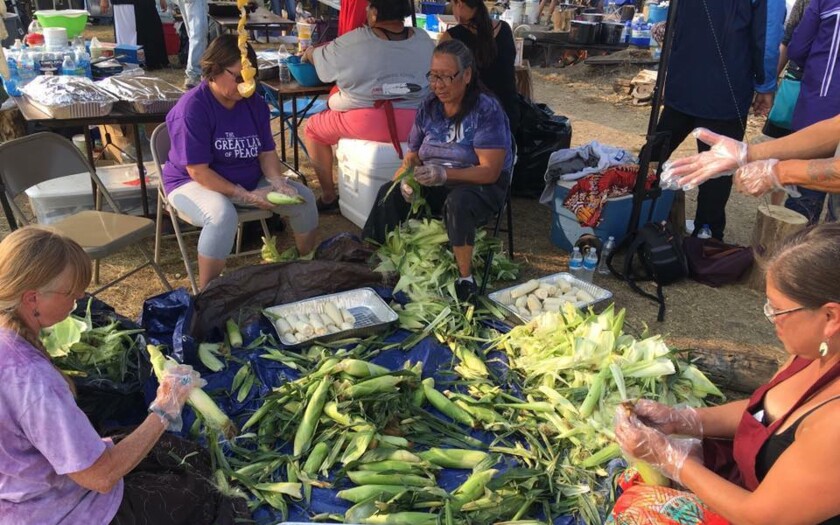 Shucking corn