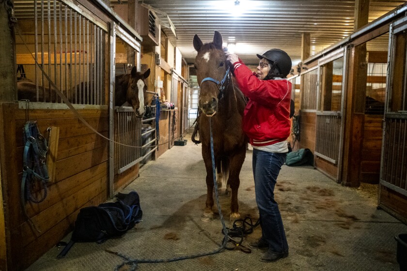 Spicer's LaNae Steinhaus adjusts the bridle of