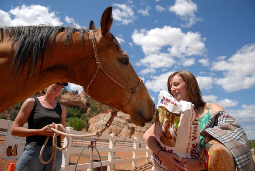 TRAVEL-UST-KANAB-DOGTOWN-3-MCT
