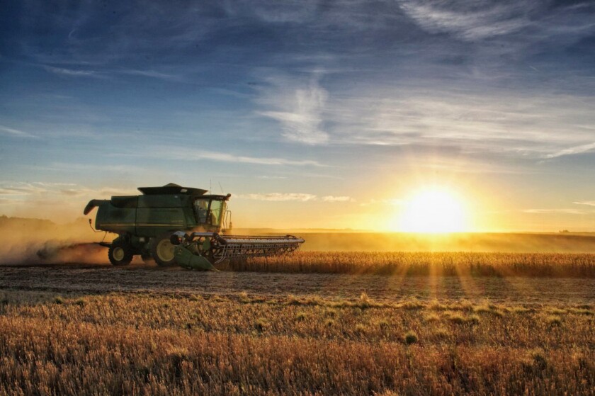 A photo taken by Katherine Plessner captures her husband harvesting on their farm in Verona, N.D., with her specialty of a sunburst on the horizon.