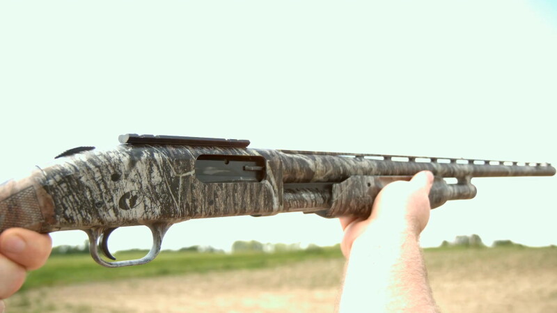 North Dakota Youth Pheasant Season Opens; Health Officials Issue Gun Safety Reminders