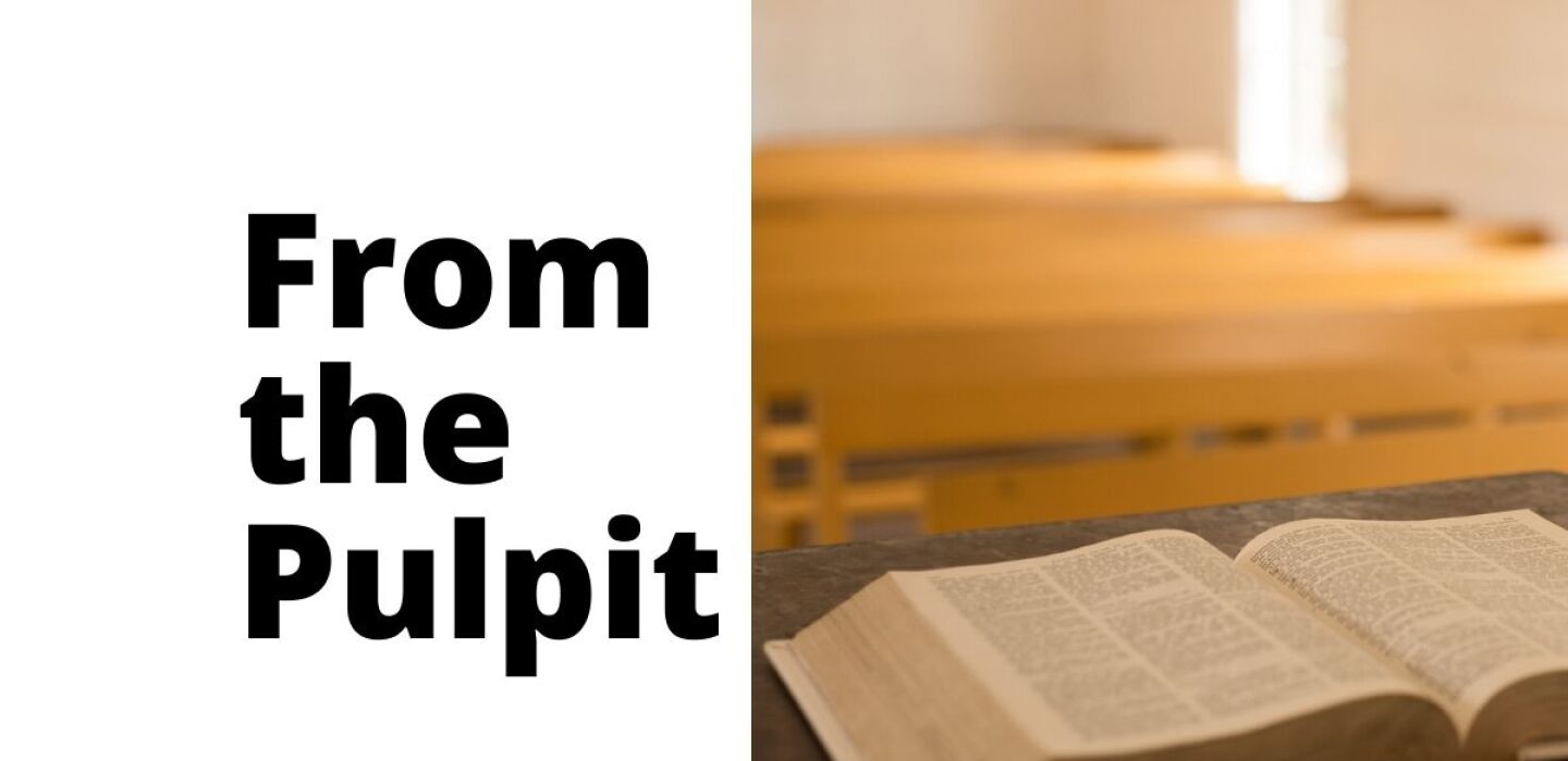 Companions on the journey – Post Bulletin Companions on the journey – Post Bulletin