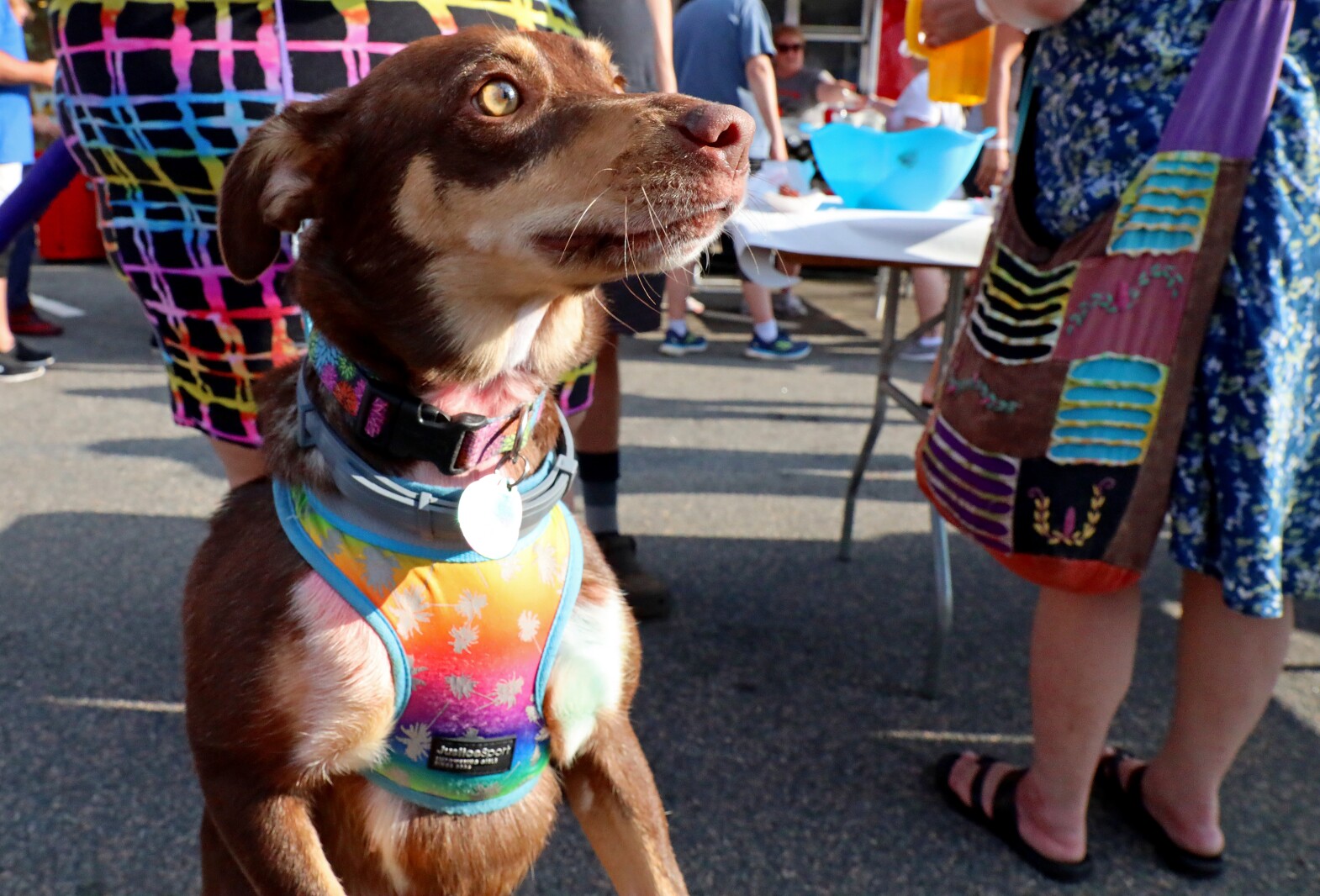 People enjoy the Cub Foods Ribfest during Brainerd Jaycees Street Fest on Saturday, July 23, 2022, in downtown Brainerd.
