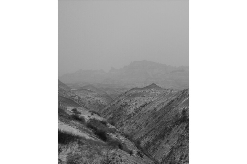Hannah Foggy Night.web.jpg