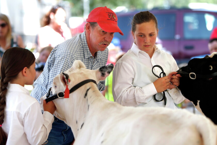 Events At The Polk County Fair Family Oriented Full Of Tradition events-at-the-polk-county-fair-family-oriented-full-of-tradition