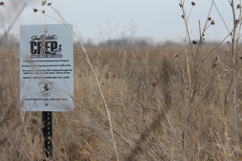 Crp Program Sd Republican SD governor hoping for expanded CRP acres - Agweek | #1 ...