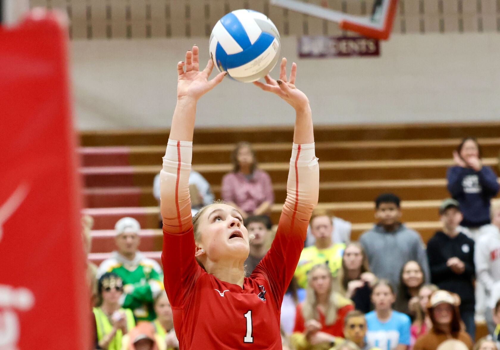 Volleyball: Marshall Tigers deny Willmar Cardinals the Section 2AAA ...