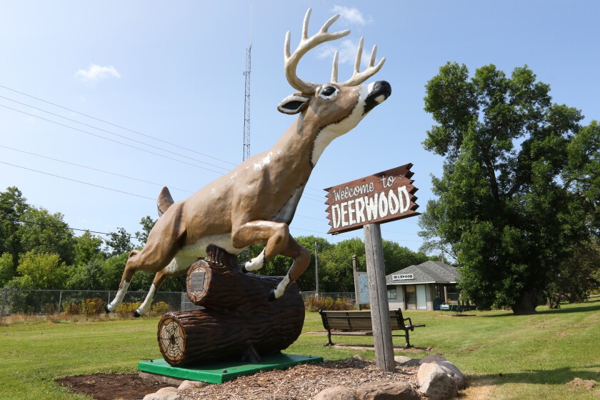 Deerwood Deer3.jpg