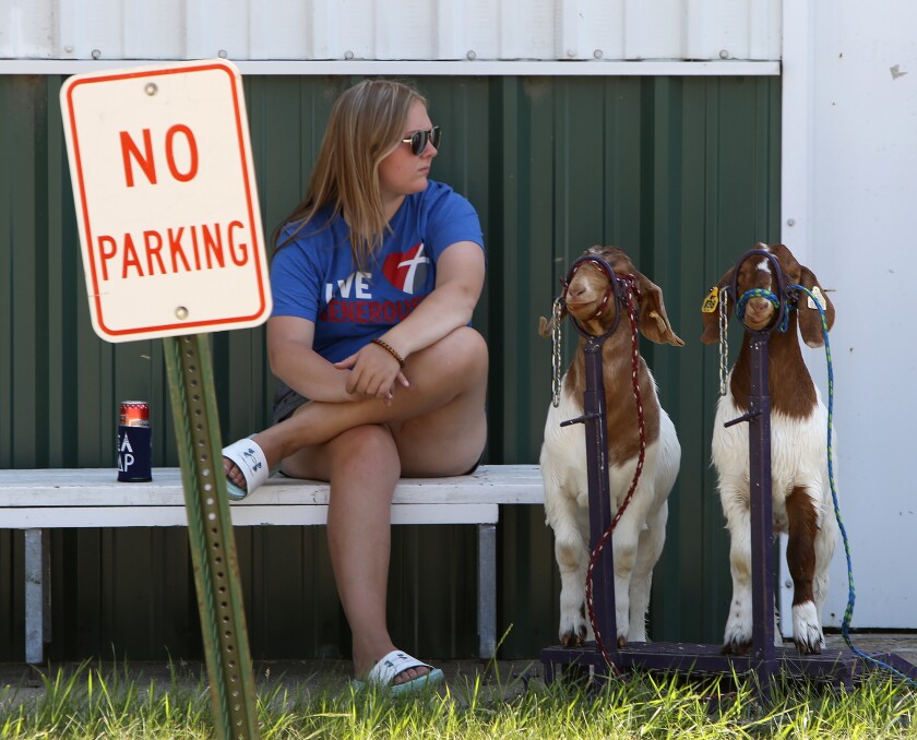 fair extra girl n goats
