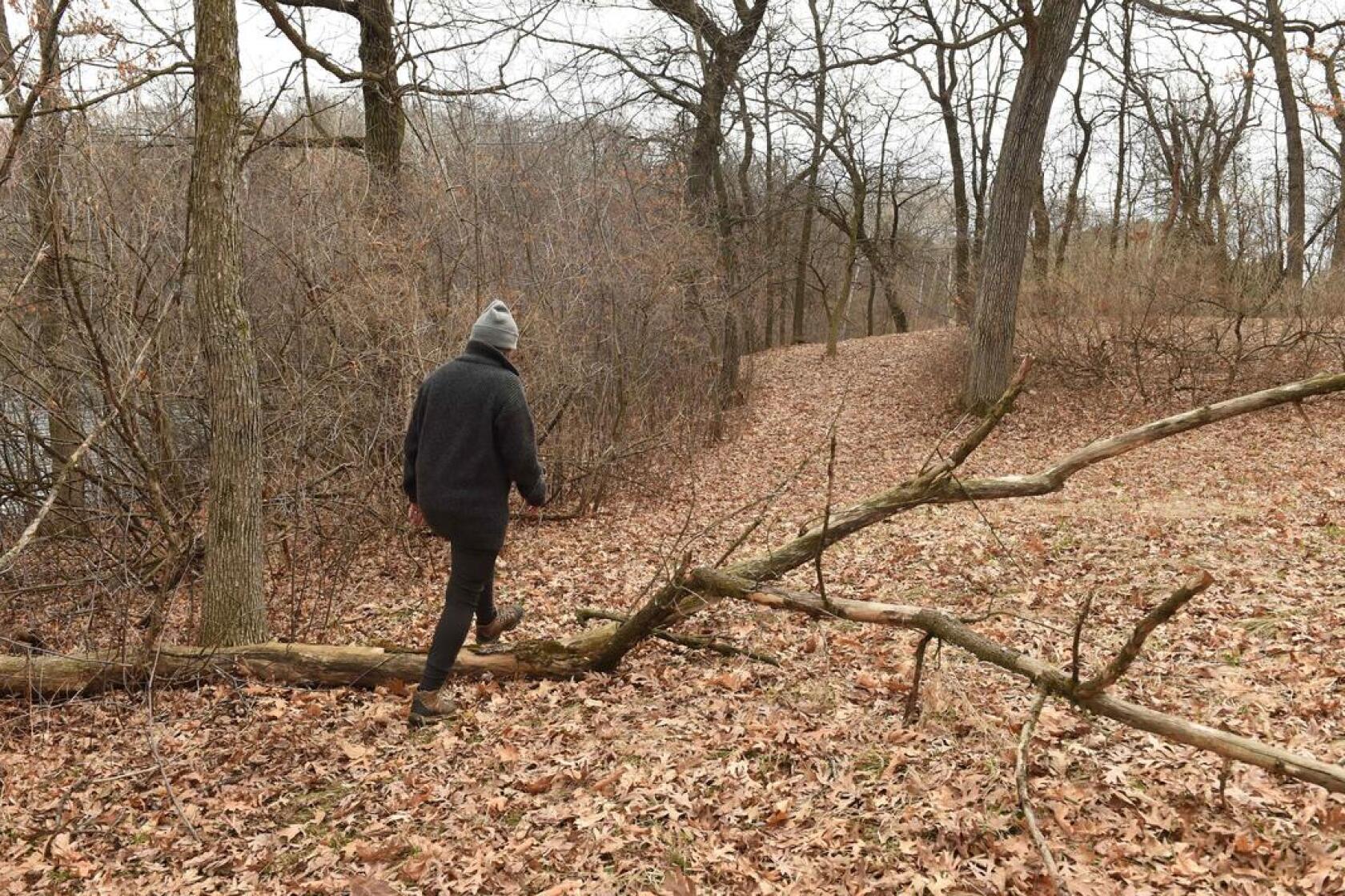 Social isolation tips from polar explorer Ann Bancroft Post Bulletin