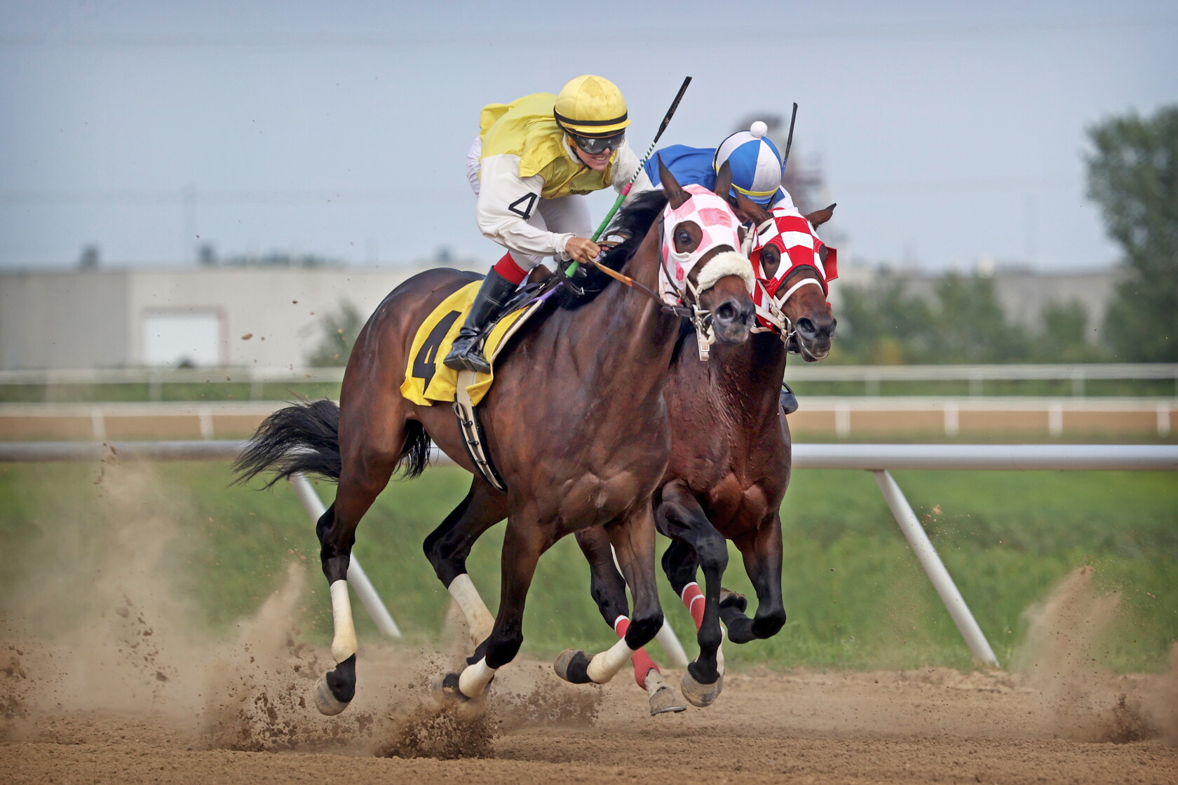 Connie Daily Racing Horse jockey Connie McKenzie finds success in first season riding at ...