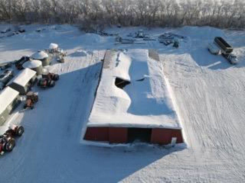 A photo taken with a drone shows a row of trees at top, with the snow that collapsed a shed roof.