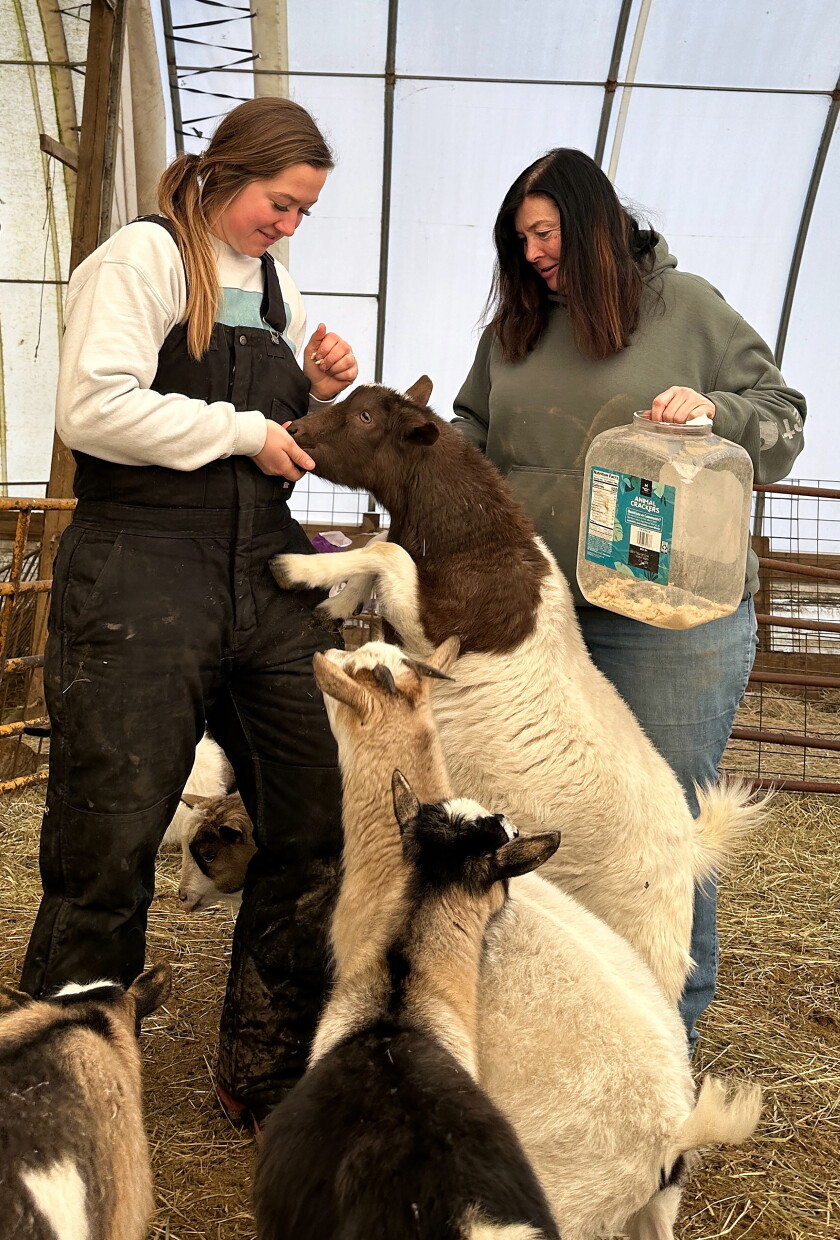 Kenneth Many Goats Kenneth family bought fainting goats for the laughs, then turned it ...