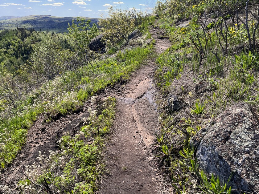 Fantasia spur trail is rocky and muddy, with views of forest