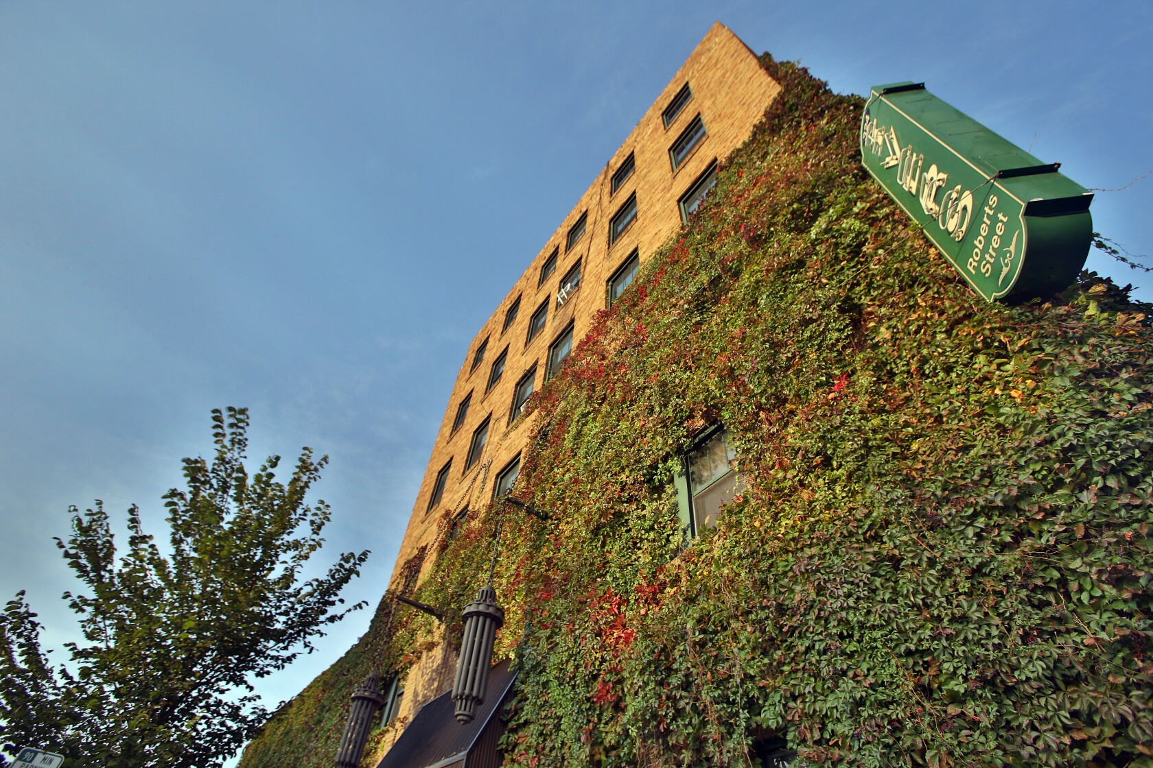 Ivy on downtown Fargo's Ivers Building is as iconic as structure itself