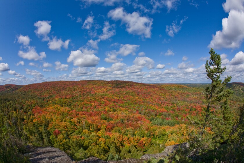 Fall from Lutsen Mountains observation deck on Moose Mountain.jpg