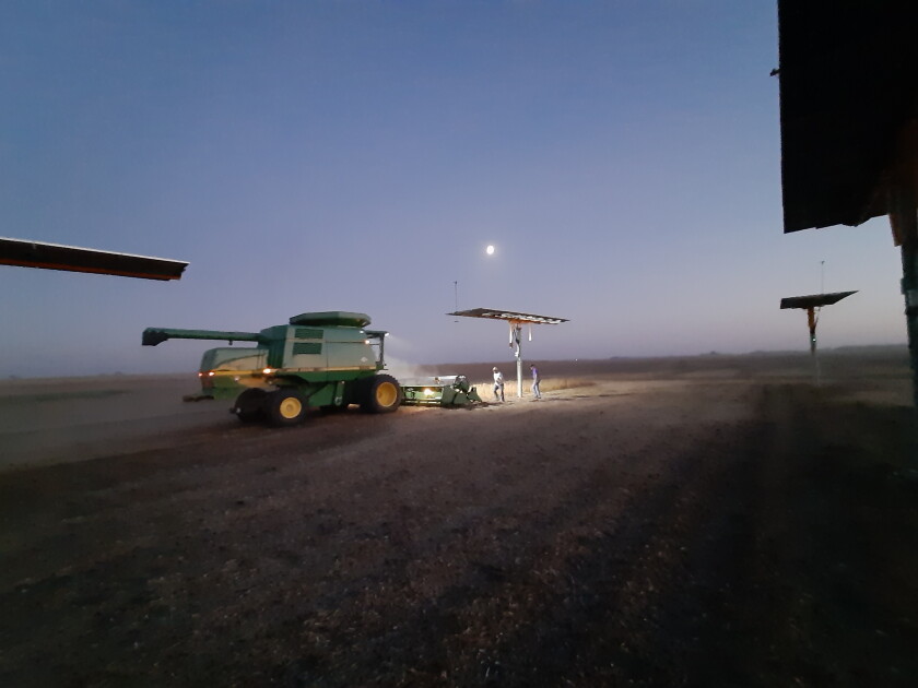The solar panels on Larry Rauenhorst's farm field are installed on 12-foot tall posts to allow crops to grow and to allow farm machinery to operate below them.