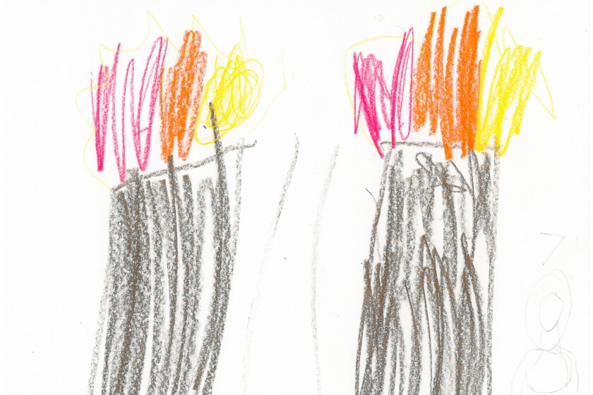 TwinTrees.jpg