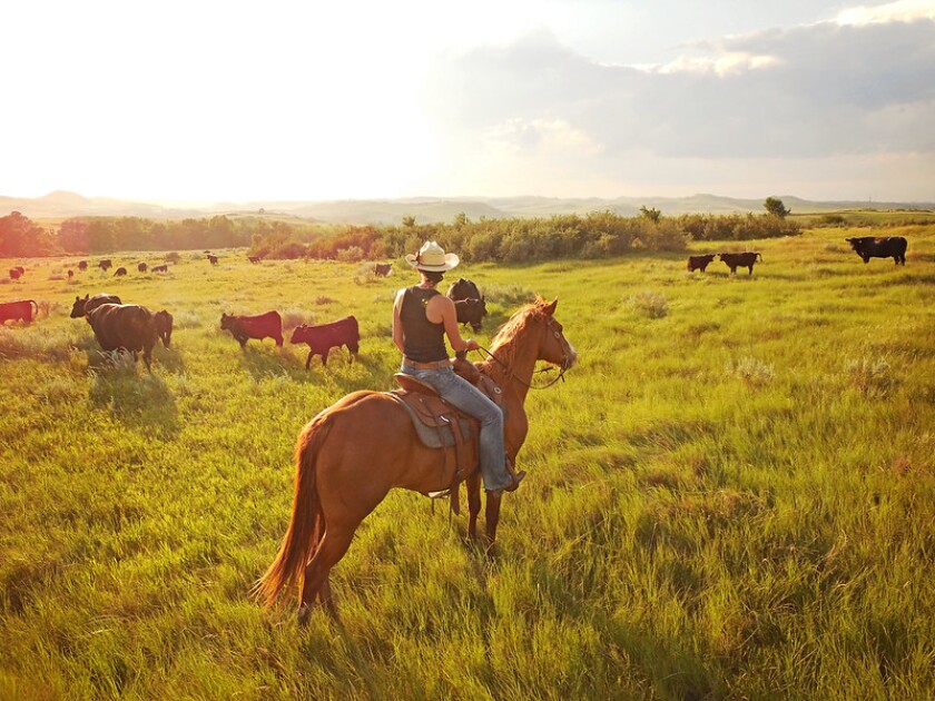 Cowgirl 1.jpg