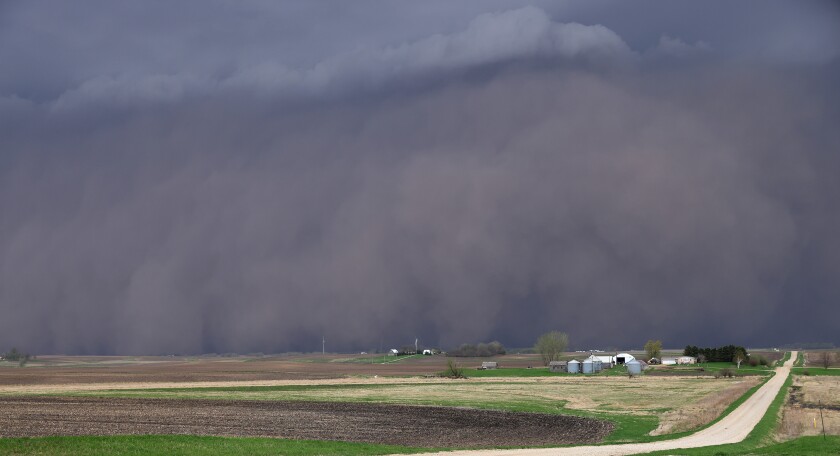 A wall of dust moves across southwest Minnesota Thursday evening as a severe thunderstorm moves across the Buffalo Ridge. This photo was taken from Nobles County 9, west of Worthington Thursday evening.