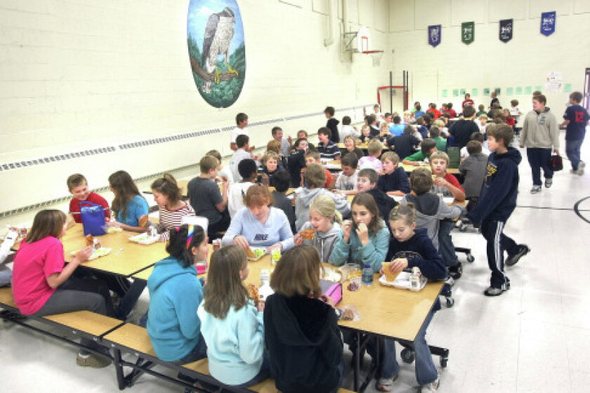 for Hermantown schools presented Duluth News Tribune