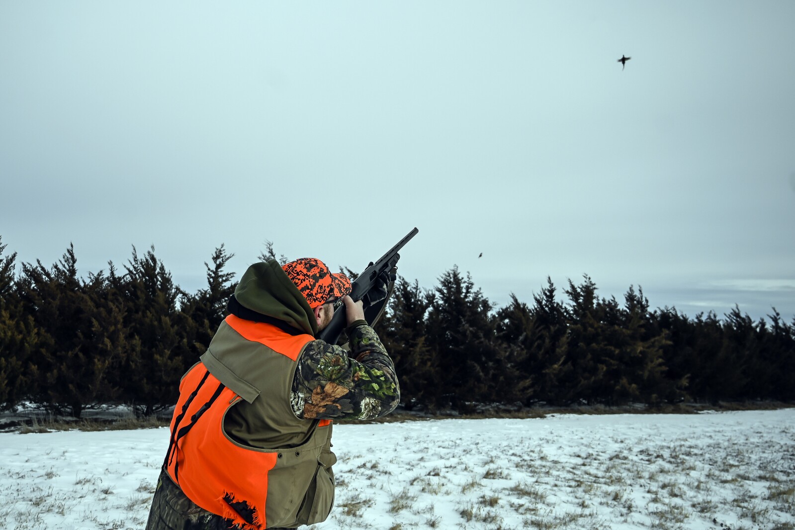 011222.N.DR.HUSKERHUNT37.jpg
