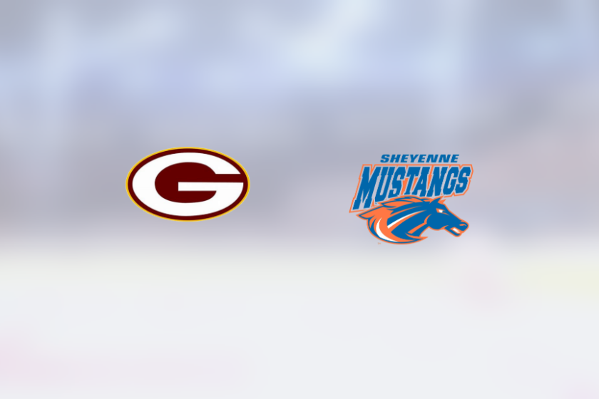 img_500216779_rinklive.png