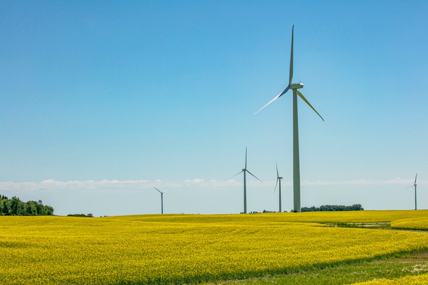Prairie Wind Farm