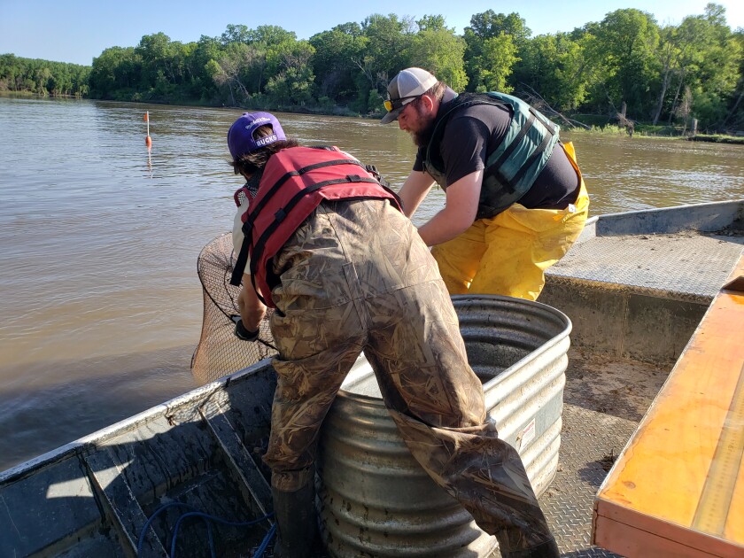 pulling a net.jpg