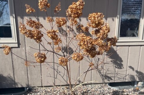 New water tower in west Alexandria? - Alexandria Echo Press | News ...