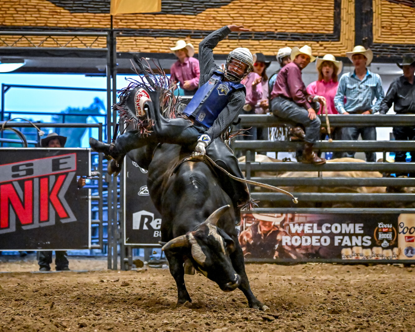 Bull Riding Today Showdown at Sundown brings bull riding to Artesian for the first time ...
