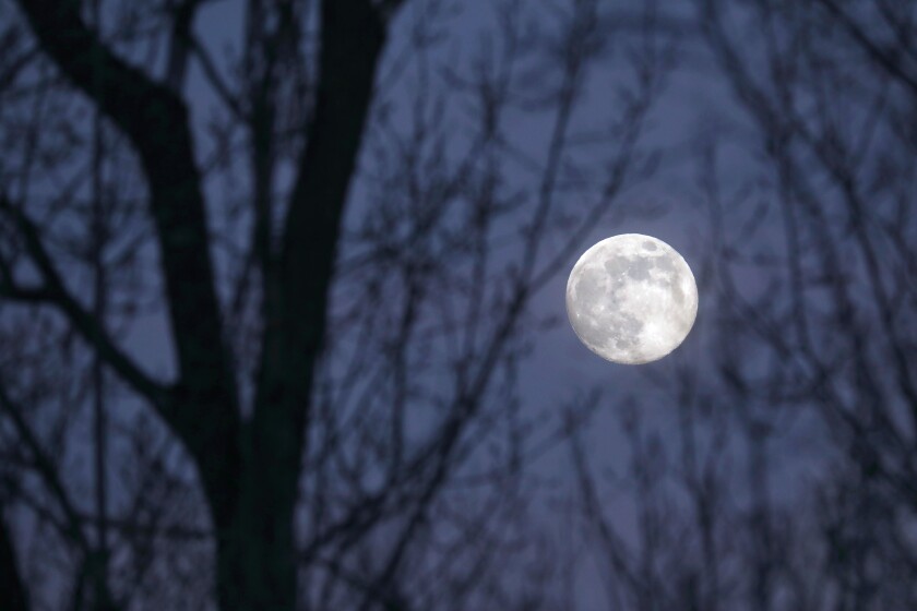 January full moon 2024: The 'Wolf Moon' howls at the Gemini twins