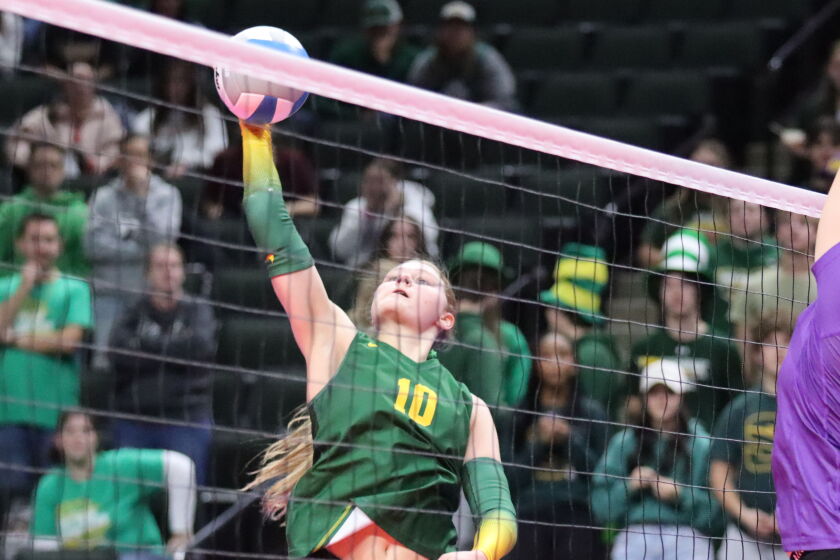 Sauk Rapids Cretin Derham Hall Voleibol estatal 110525 18