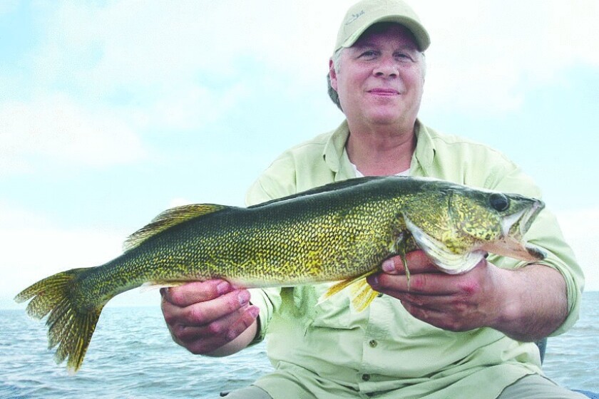 Walleye