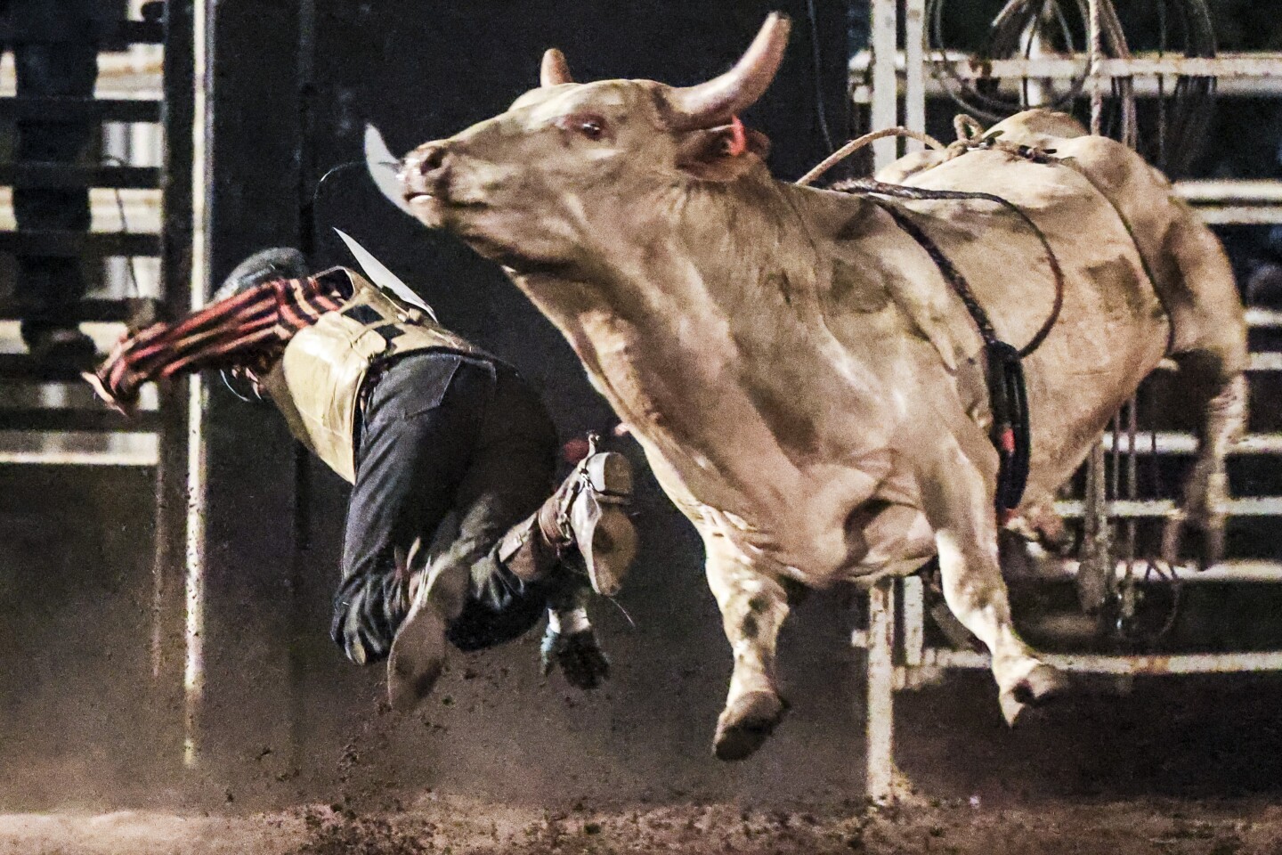 Photos: Great Northern Classic Rodeo rides on in Superior - Duluth News ...