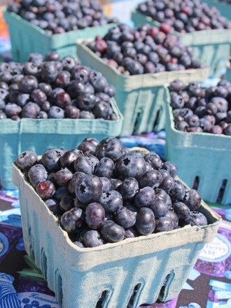 080322.N.PRE.BlueberryPints.jpg